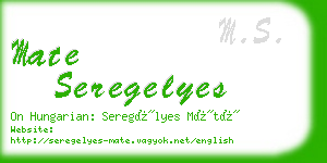 mate seregelyes business card